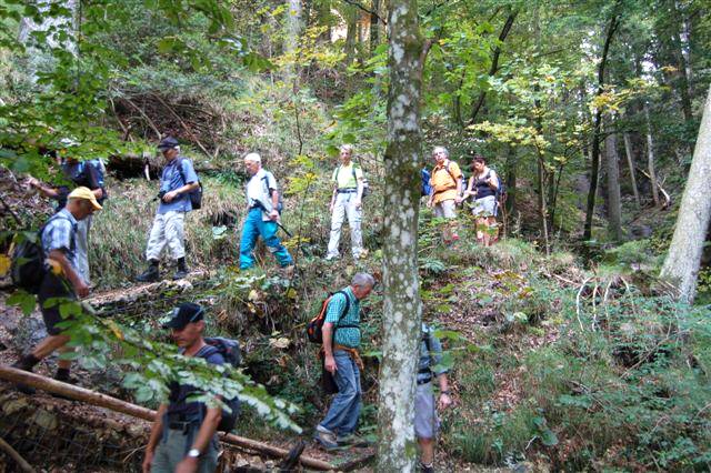 Wanderweg oberhalb Wechten