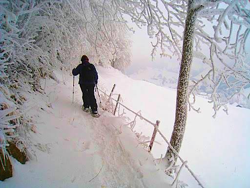 Schneeschuhwanderung am Passwang